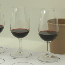 DEGUSTATION 57.png